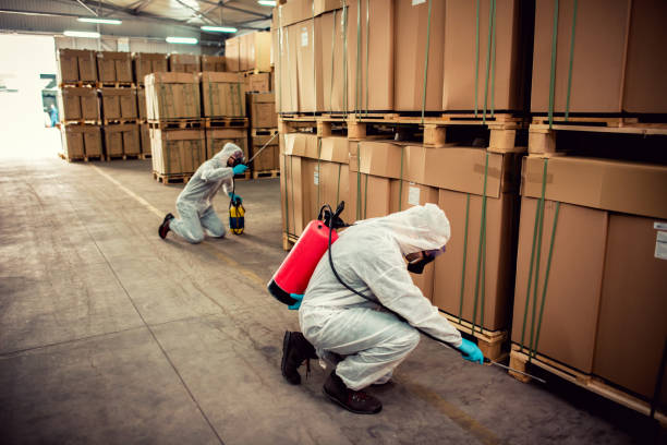 Wasp Removal Services in Leetonia, OH