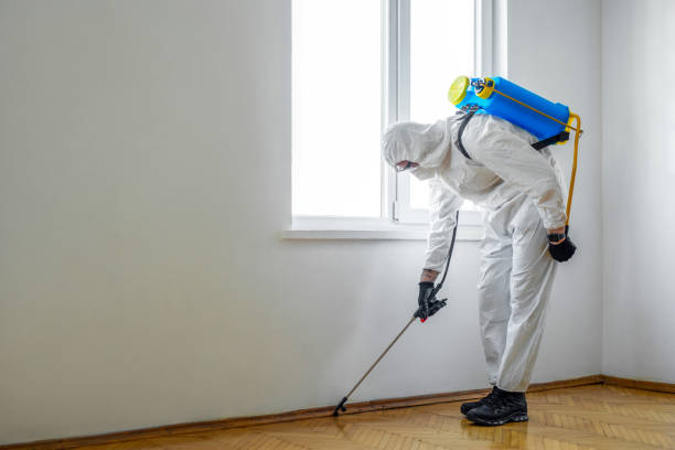 Best Flea Control Services  in Leetonia, OH