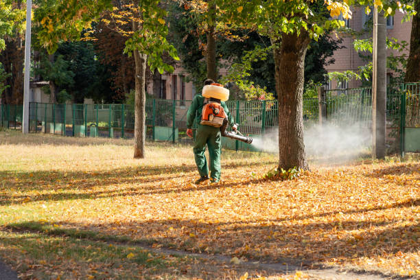 Best Bird Control  in Leetonia, OH