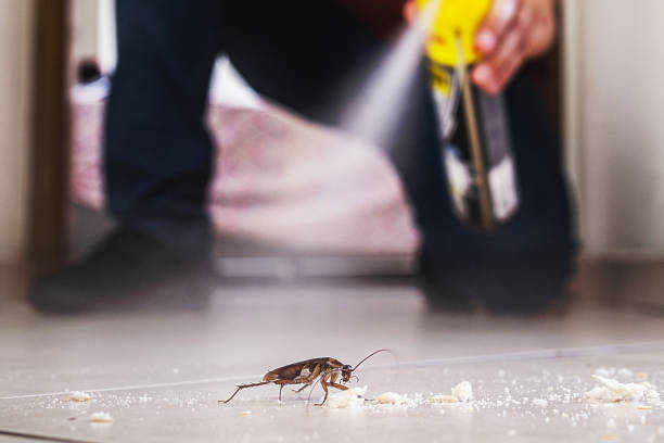 Best Residential Pest Control  in Leetonia, OH